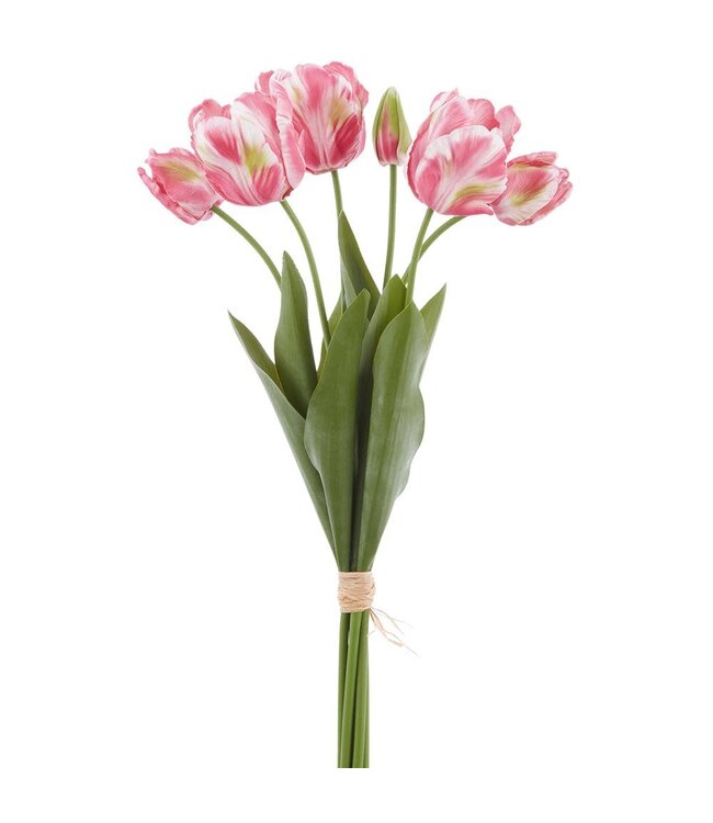 24 Inch Real Touch Parrot Tulip Bundle