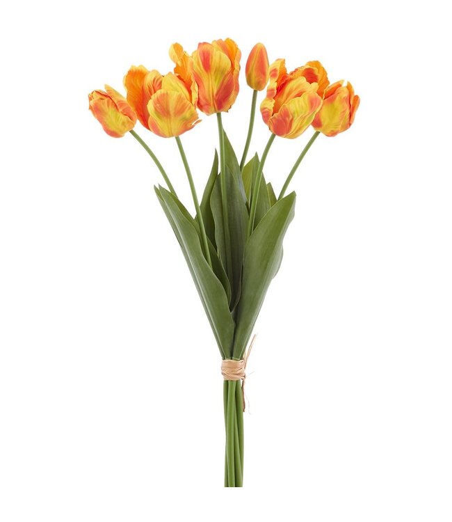 24 Inch Real Touch Parrot Tulip Bundle x6