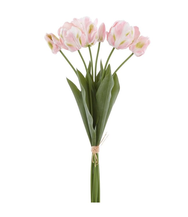 24 Inch Real Touch Parrot Tulip Bundle x6