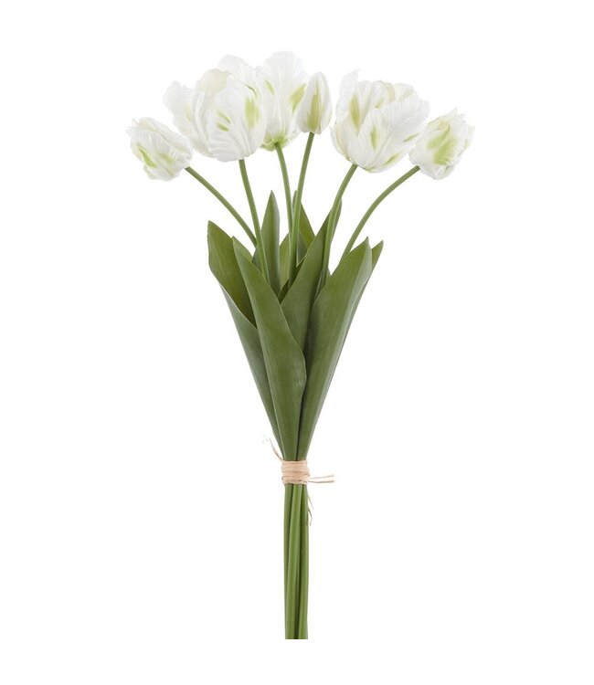 24 Inch Real Touch Parrot Tulip Bundle