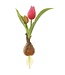 8 Inch Tulip Spray With Bulb