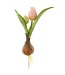 8 Inch Tulip Spray With Bulb