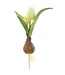 8 Inch Tulip Spray With Bulb