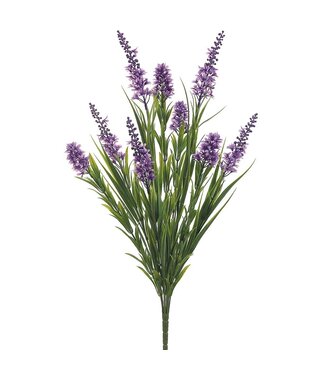 23 Inch Star Flower/Grass Bush  -  Lavender Green