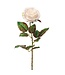 20.5 Inch Ecuador Rose Spray