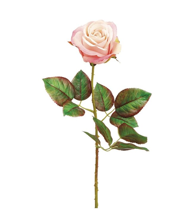 20.5 Inch Ecuador Rose Spray