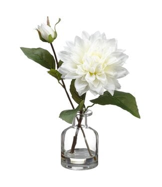 10.5 Inch Dahlia in Glass Vase White