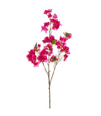 41.5 Inch Bougainvillea Branch  Orchid