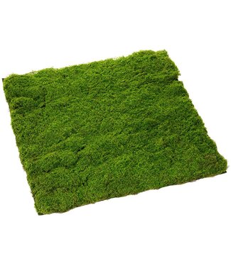 Moss Sheet Green