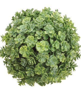 5.5 Inch Real Touch Sedum Orb - Green