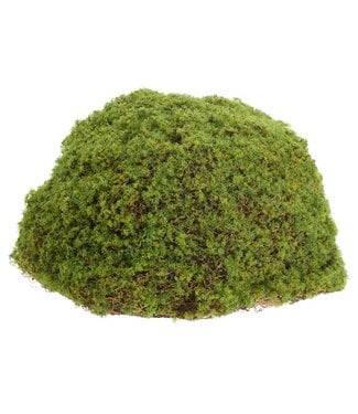 Moss Bun Green