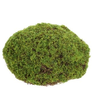 Moss Bun Green