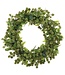 24 Inch Soft PE Sedum Wreath Cream Green