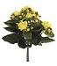 9 Inch Mini Kalanchoe Bush