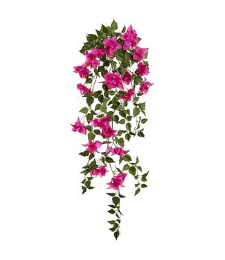 43 Inch Bougainvillea Hanging Bush Fuchsia