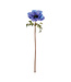 19"H Anemone Stem