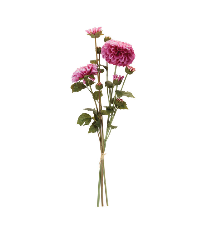 23.5"H Zinnia Bundle