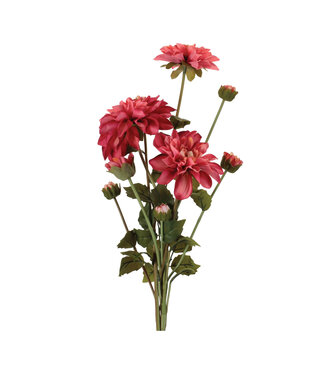 23.5"H Dahlia Bundle