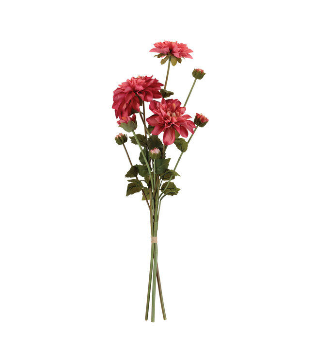 23.5"H Dahlia Bundle