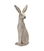 Stone Powder Rabbit - Sold Individually