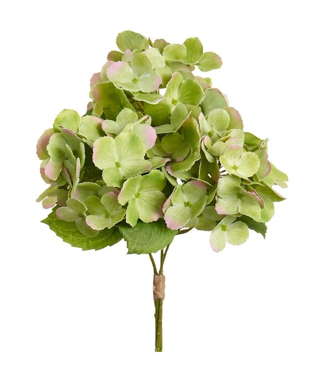 14.5 Hydrangea Bundle