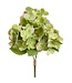 14.5 Hydrangea Bundle