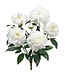 18 Inch Peony Bush