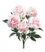 18 Inch Peony Bush