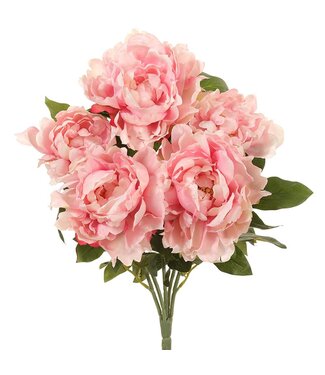 19.5 Inch Peony Bush x5 Pink