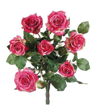 21.5 Inch Confetti Rose Bush x7