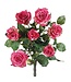 21.5 Inch Confetti Rose Bush x7