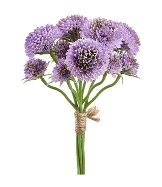 14 Inch Pompon Dahlia Bundle