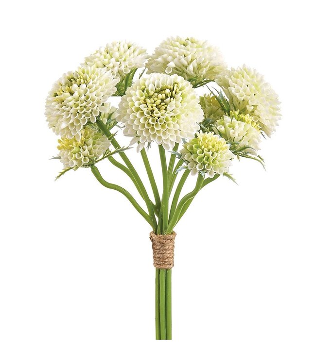 14 Inch Pompon Dahlia Bundle