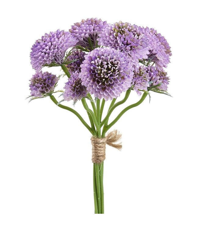 14 Inch Pompon Dahlia Bundle