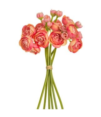 10 Inch Mini Ranunculus Bundle x6
