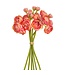10 Inch Mini Ranunculus Bundle x6