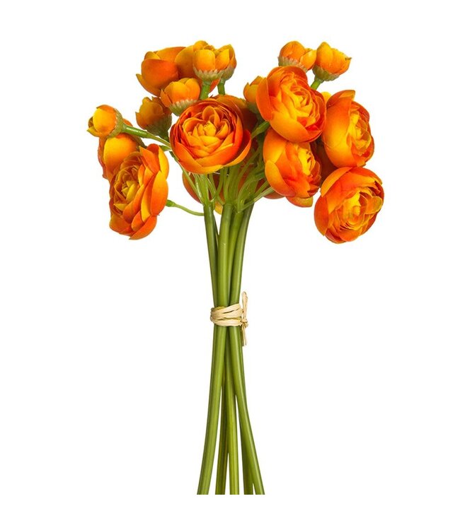 10 Inch Mini Ranunculus Bundle x6