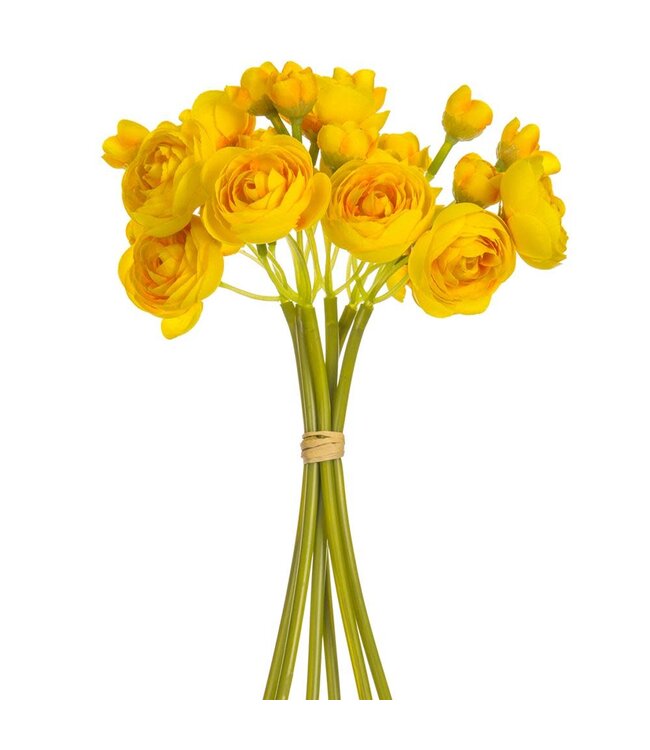 10 Inch Mini Ranunculus Bundle x6