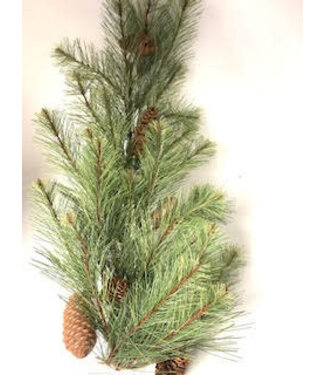26" LONG NEEDLE PINE SWAG W/ CONE