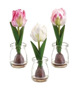 7.5 Inch Tulip in Glass Vase Pink Two Tone - Sold Individually