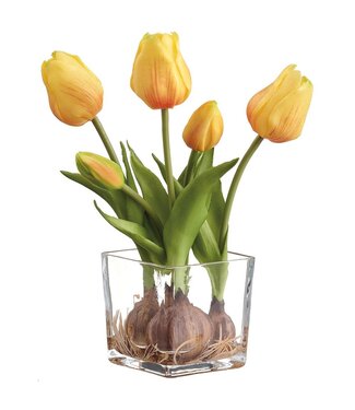 9.05" Tulip With Bulb in Glass Vase