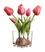9.05" Tulip With Bulb in Glass Vase
