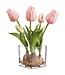 9.05" Tulip With Bulb in Glass Vase