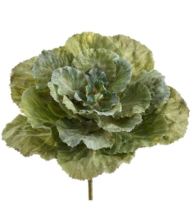 10 Inch Ornamental Cabbage Pick