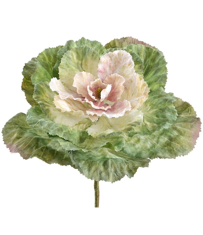 10 Inch Ornamental Cabbage Pick