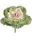 10 Inch Ornamental Cabbage Pick