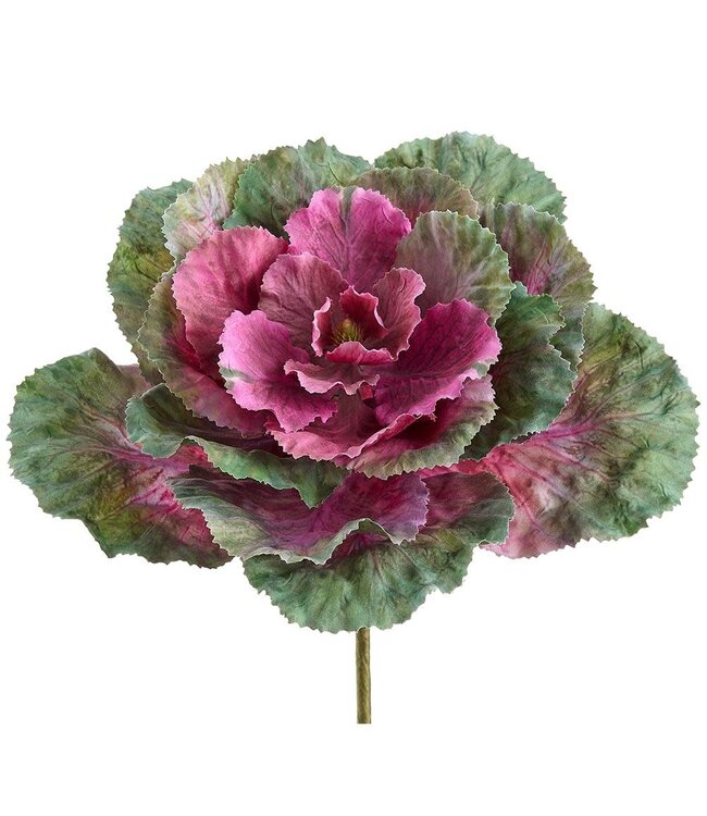 10 Inch Ornamental Cabbage Pick