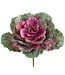 10 Inch Ornamental Cabbage Pick