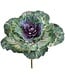 10 Inch Ornamental Cabbage Pick