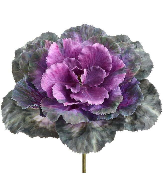 10 Inch Ornamental Cabbage Pick